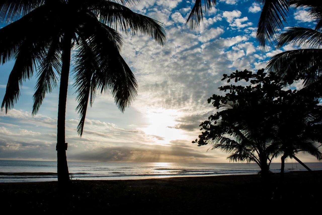 Hotel Tortuguero Beachfront Exterior photo