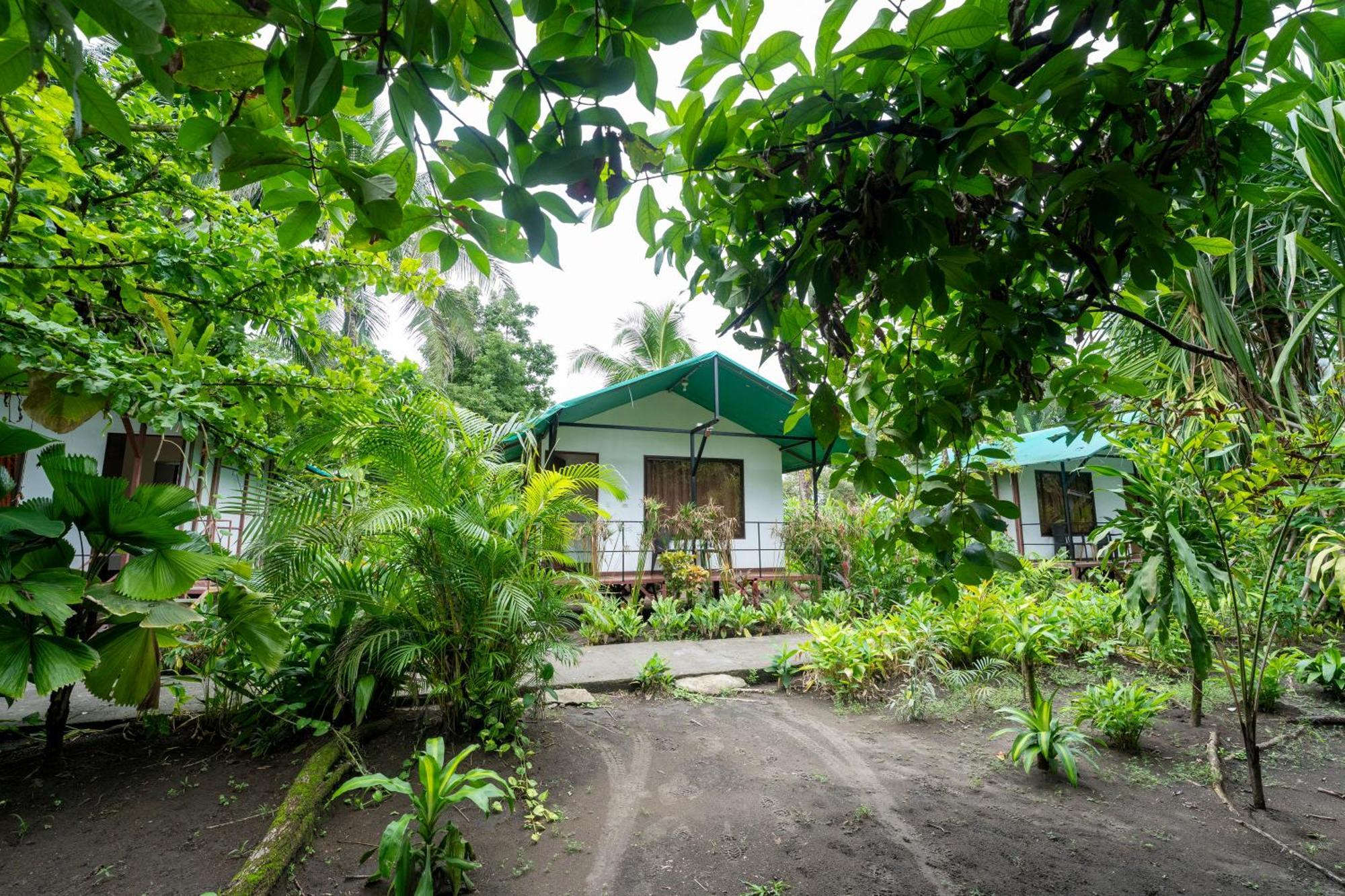 Hotel Tortuguero Beachfront Exterior photo