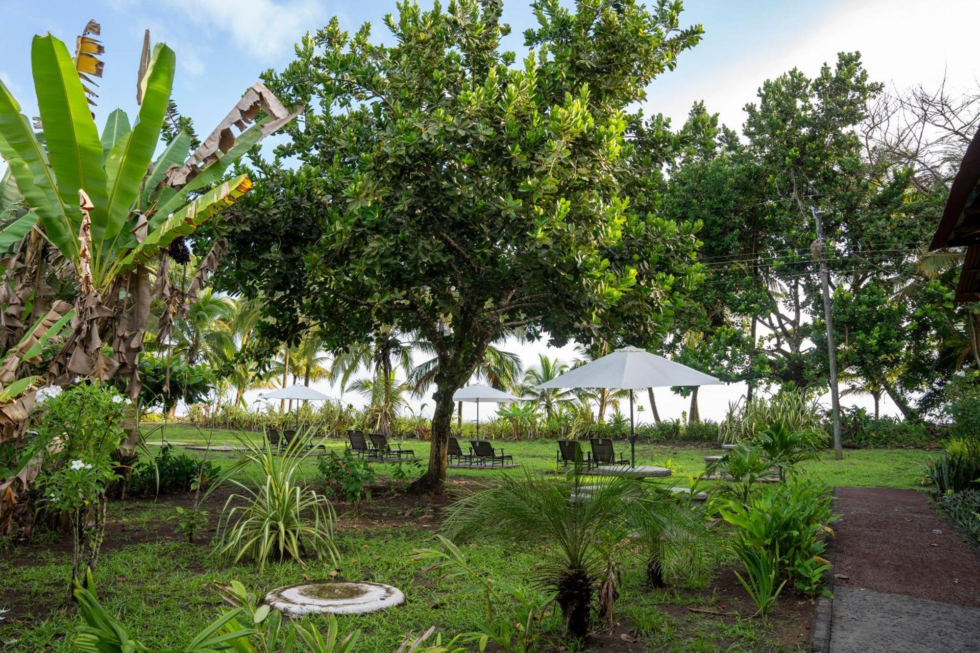 Hotel Tortuguero Beachfront Exterior photo