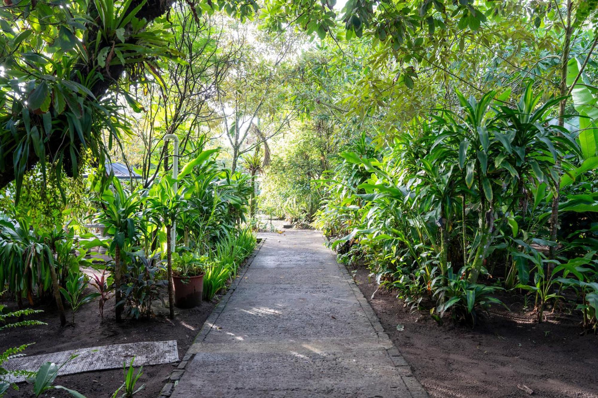 Hotel Tortuguero Beachfront Exterior photo