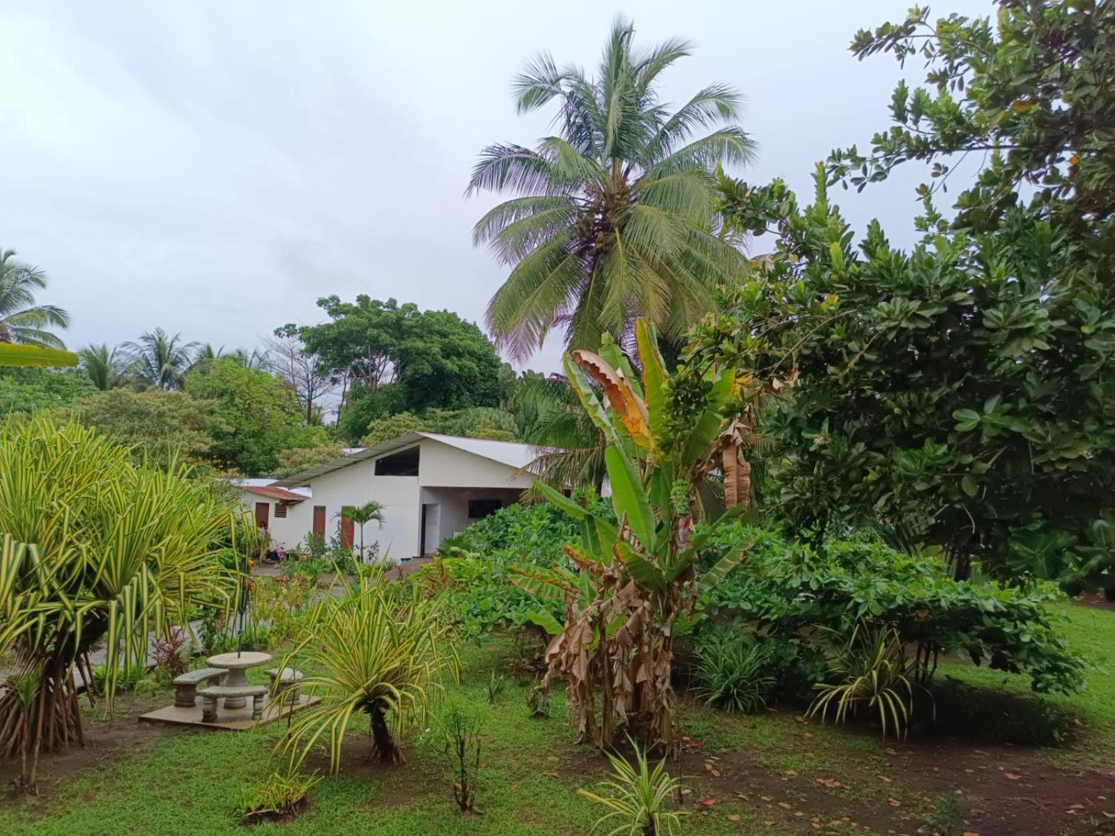 Hotel Tortuguero Beachfront Exterior photo