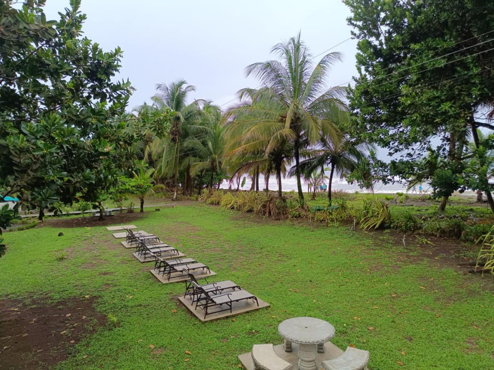 Hotel Tortuguero Beachfront Exterior photo