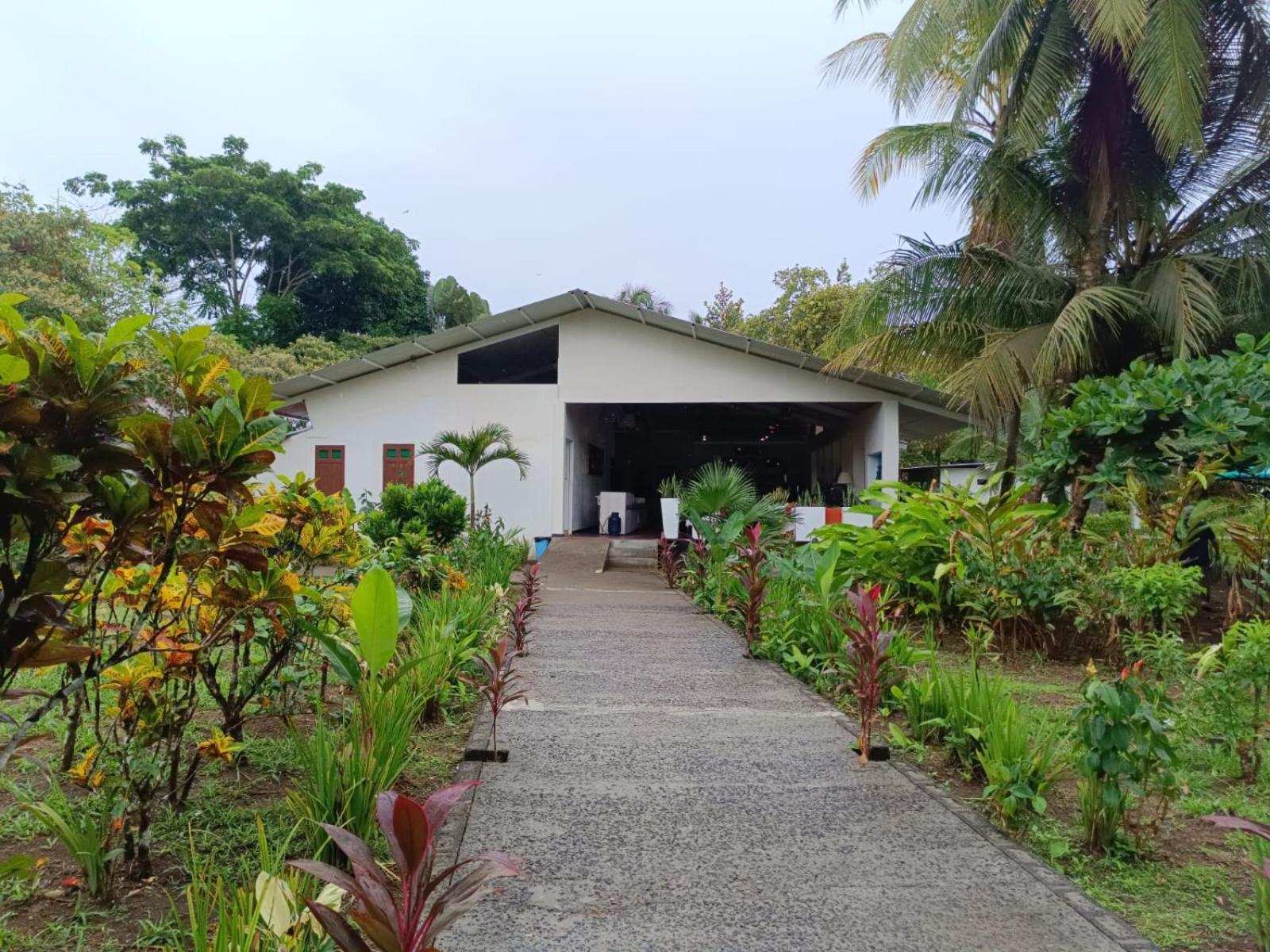 Hotel Tortuguero Beachfront Exterior photo
