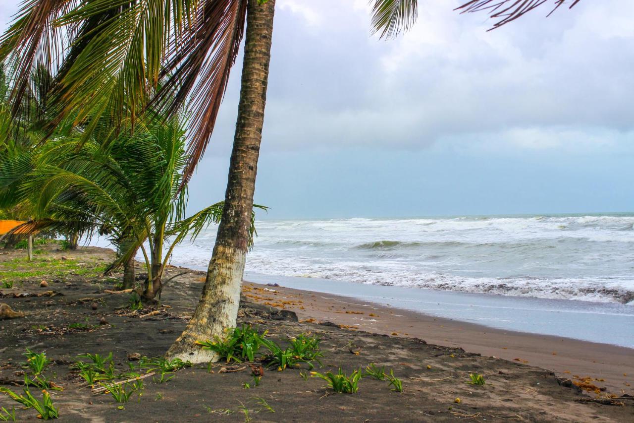 Hotel Tortuguero Beachfront Exterior photo