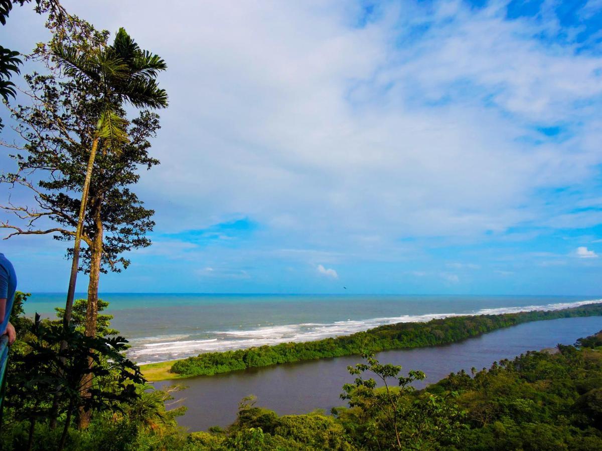 Hotel Tortuguero Beachfront Exterior photo